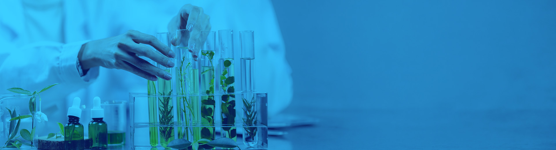 Phyto Screening Flow
