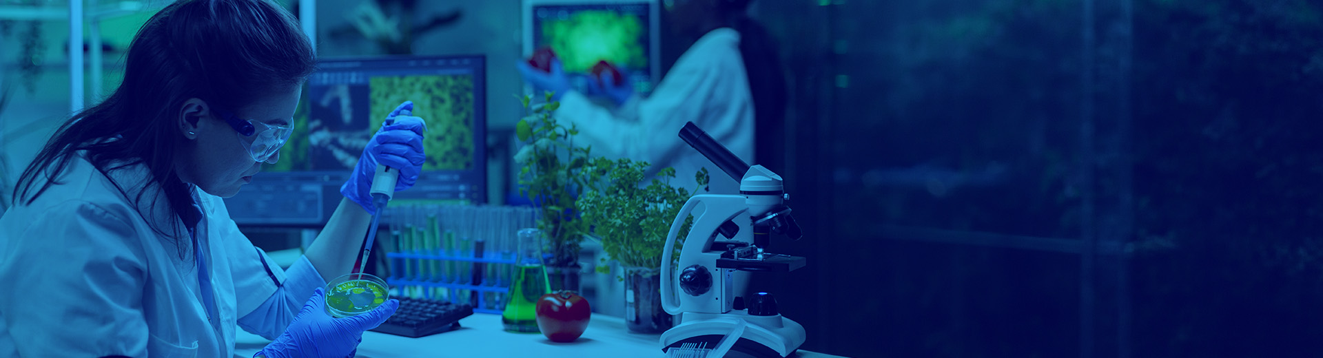 End-to-End Research Excellence