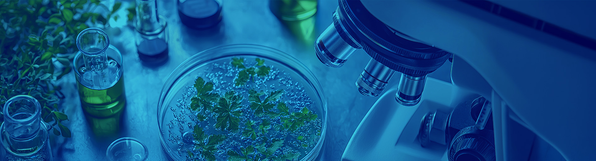 Science and Technology - Where Science Meets Nature